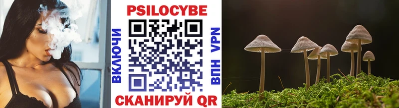 Псилоцибиновые грибы Psilocybine cubensis  Купить закладки  Гусиноозёрск 